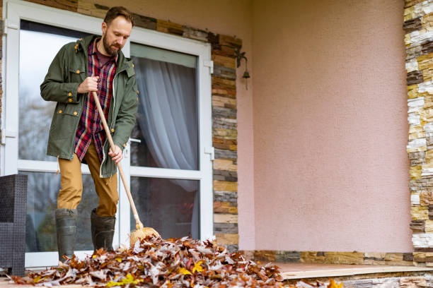 Professional Junk Removal in North Miami, FL