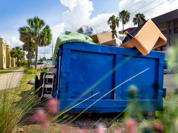 Yard Cleanup Services